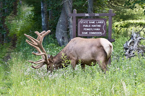 Elk County PA